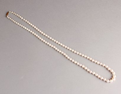 COLLIER DE PERLES de culture en chute, fermoir...