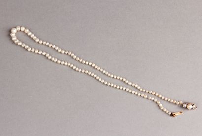 Petit COLLIER DE PERLES de culture en chute,...