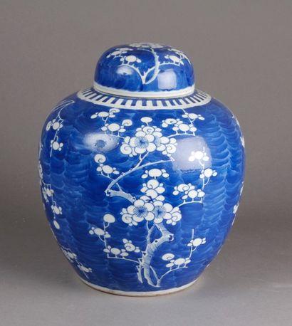 POT couvert en porcelaine émaillée à décor...