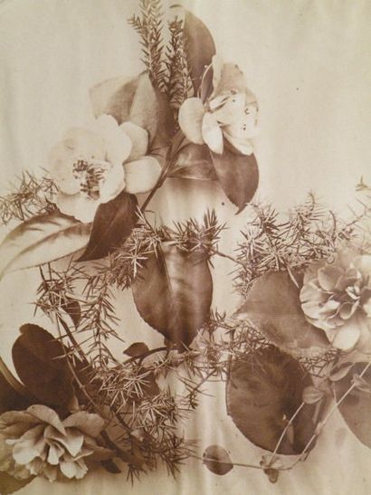 Adolphe BRAUN (1821-1877)
Compositions florales,...