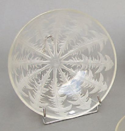 René LALIQUE (1860-1945)
Coupe Pissenlit...