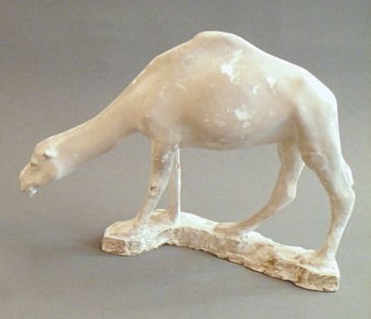 François POMPON (1855-1933)
Dromadaire Plâtre...
