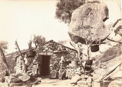 CORSE par Laurent CARDINALI (1853 -1935)
Récolte...