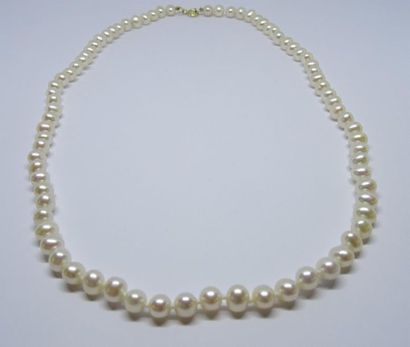 Collier ras de cou en perles de culture,...
