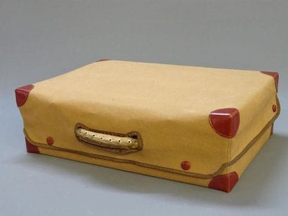 Valise en cuir rouge avec protection en tissus
17...