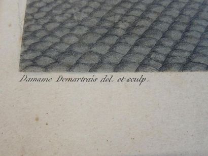 Michel François DAMANE-DEMARTRAIS (1763-1827)
Vue...
