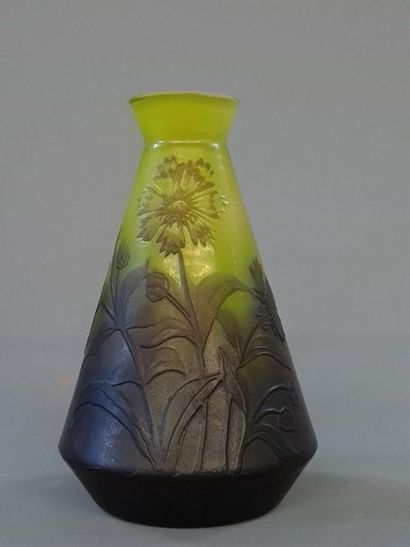 Vase en verre multicouche dégagé à l'acide...