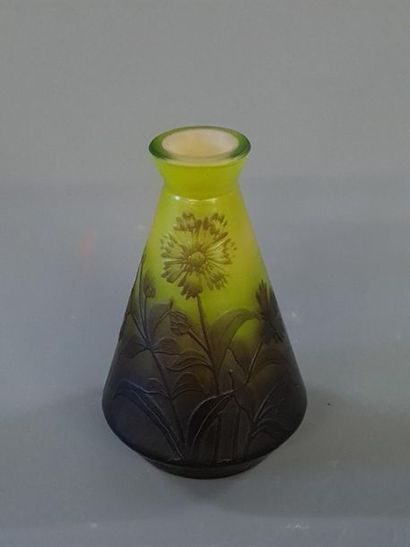 Vase en verre multicouche dégagé à l'acide...