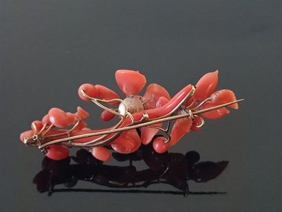 Brooch in pearls and coral branches, gold...