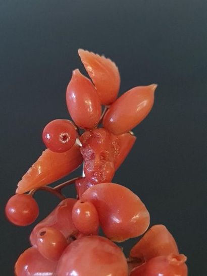 Brooch in pearls and coral branches, gold...