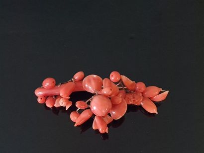 Brooch in pearls and coral branches, gold...