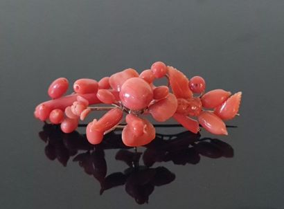 Brooch in pearls and coral branches, gold...