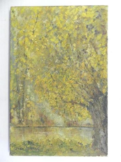 Jean DURAND ( XX°)
Saule au bord du lac.
huile...