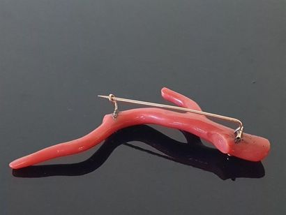 Coral branch mounted on a brooch, gold rod...