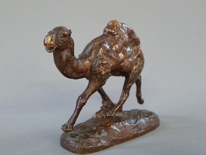 Clovis-Edmond MASSON (1838-1913)
Dromadaire.
Epreuve...