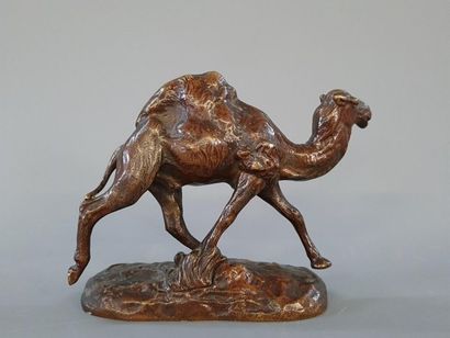 Clovis-Edmond MASSON (1838-1913)
Dromadaire.
Epreuve...