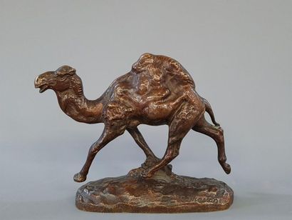 Clovis-Edmond MASSON (1838-1913)
Dromadaire.
Epreuve...