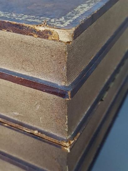 Leather-wrapped book case with trompe l'oeil...
