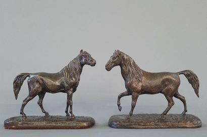 Pierre-Jules MENE (d'après)
Cheval arabe...