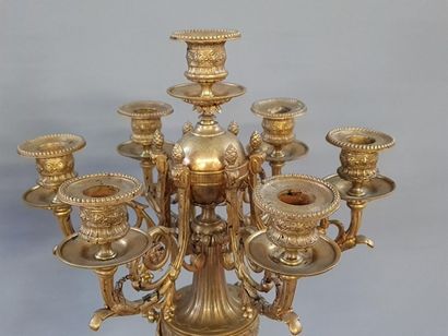 Paire de candélabres en bronze doré à sept...