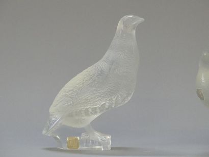 LALIQUE France: 
Perdrix couchée et perdrix...