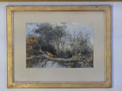 Adrien LUCY (?-1875)
Panthère à l'Oued Saf...