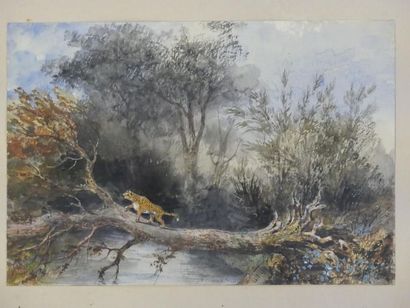 Adrien LUCY (?-1875)
Panthère à l'Oued Saf...