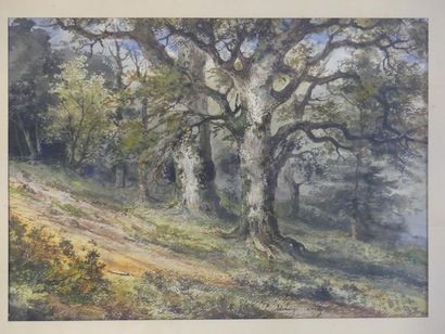 Adrien LUCY (?-1875)
Panthère à l'Oued Saf...