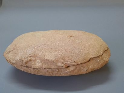 Fish fossil
5 x 25 x 14 cm
4 x 24 x 13 c...