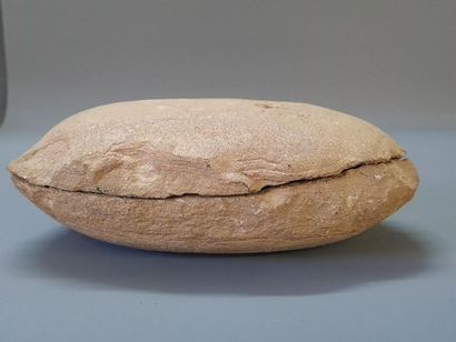 Fish fossil
5 x 25 x 14 cm
4 x 24 x 13 c...