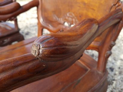 
217 BIS / Suite of four armchairs in exotic...