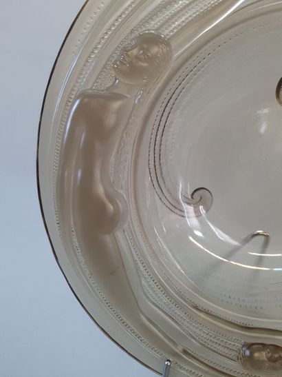 VERLYS 

Les naiades 

Plat en verre fumé

D:...