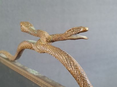 Bronze fire screen with interlaced snakes...