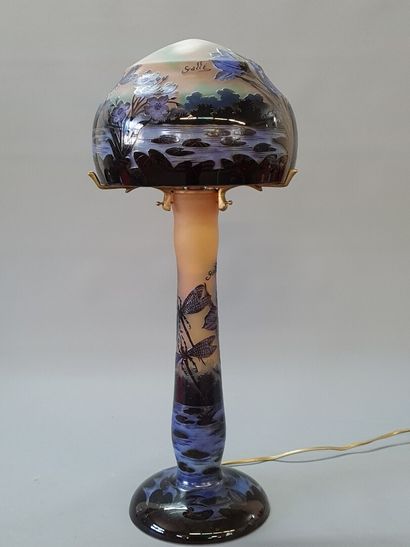 Art Nouveau style multilayer glass lamp....