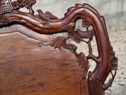 
217 BIS / Suite of four armchairs in exotic...