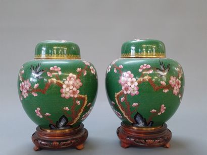 Pair of covered pots in cloisonné enamels...