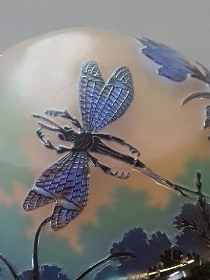 Art Nouveau style multilayer glass lamp....