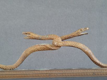 Bronze fire screen with interlaced snakes...