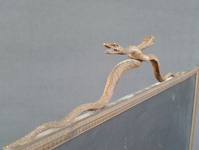 Bronze fire screen with interlaced snakes...