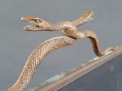 Bronze fire screen with interlaced snakes...
