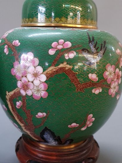 Pair of covered pots in cloisonné enamels...