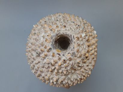 Tête de bouddha en bois sculpté et doré,...