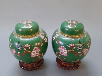 Pair of covered pots in cloisonné enamels...