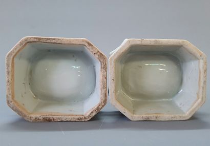 COMPAGNIE DES INDES

Deux salerons en porcelaine...