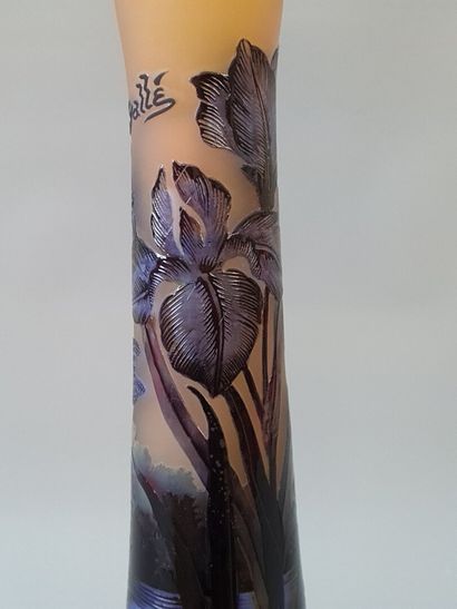 Art Nouveau style multilayer glass lamp....