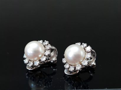 Paire de clips d'oreille en or 750°/00 et...