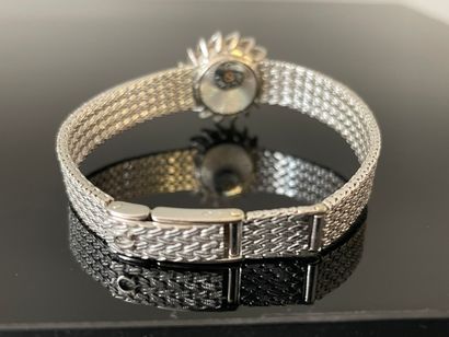 Montre de dame en or gris, cadran serti de...
