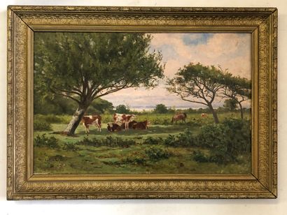Valère LEFEBVRE (1902-?)

Vaches dans un...