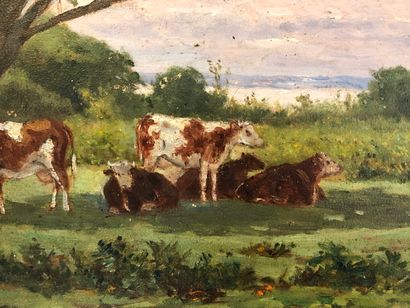 Valère LEFEBVRE (1902-?)

Vaches dans un...