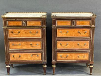 Paire de commodes étroites en placage de...